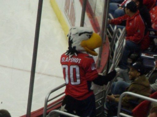 Slapshot the Eagle is victorious!